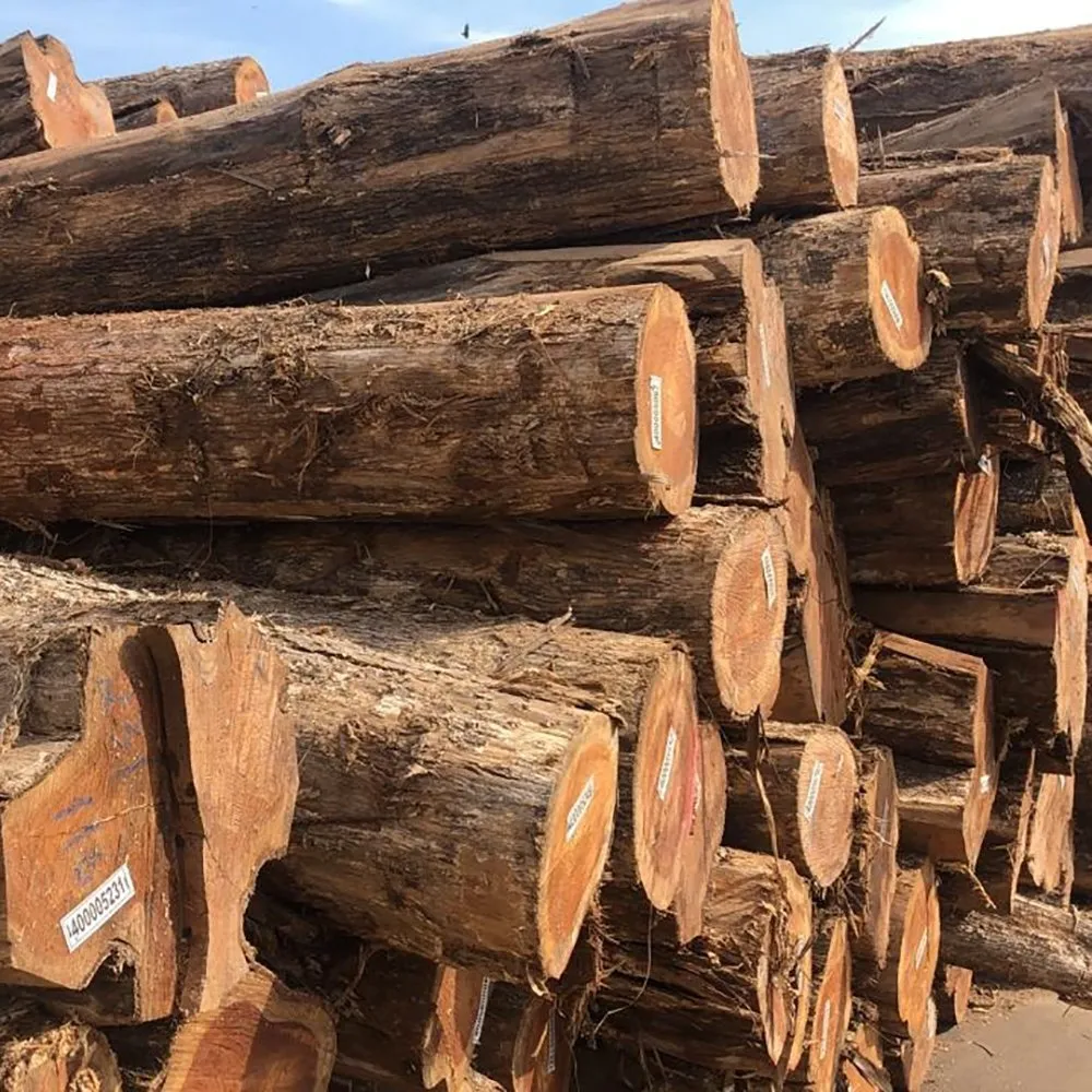 Costa Rica Teak Wood