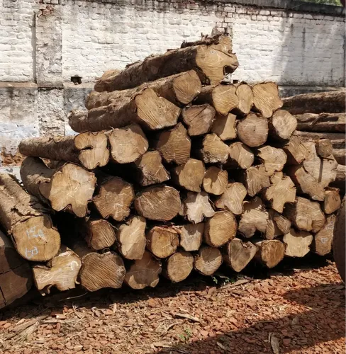 Costa Rica Teak Wood